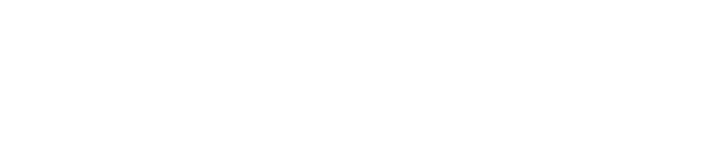 panicwaves_logo_einzeiler_white